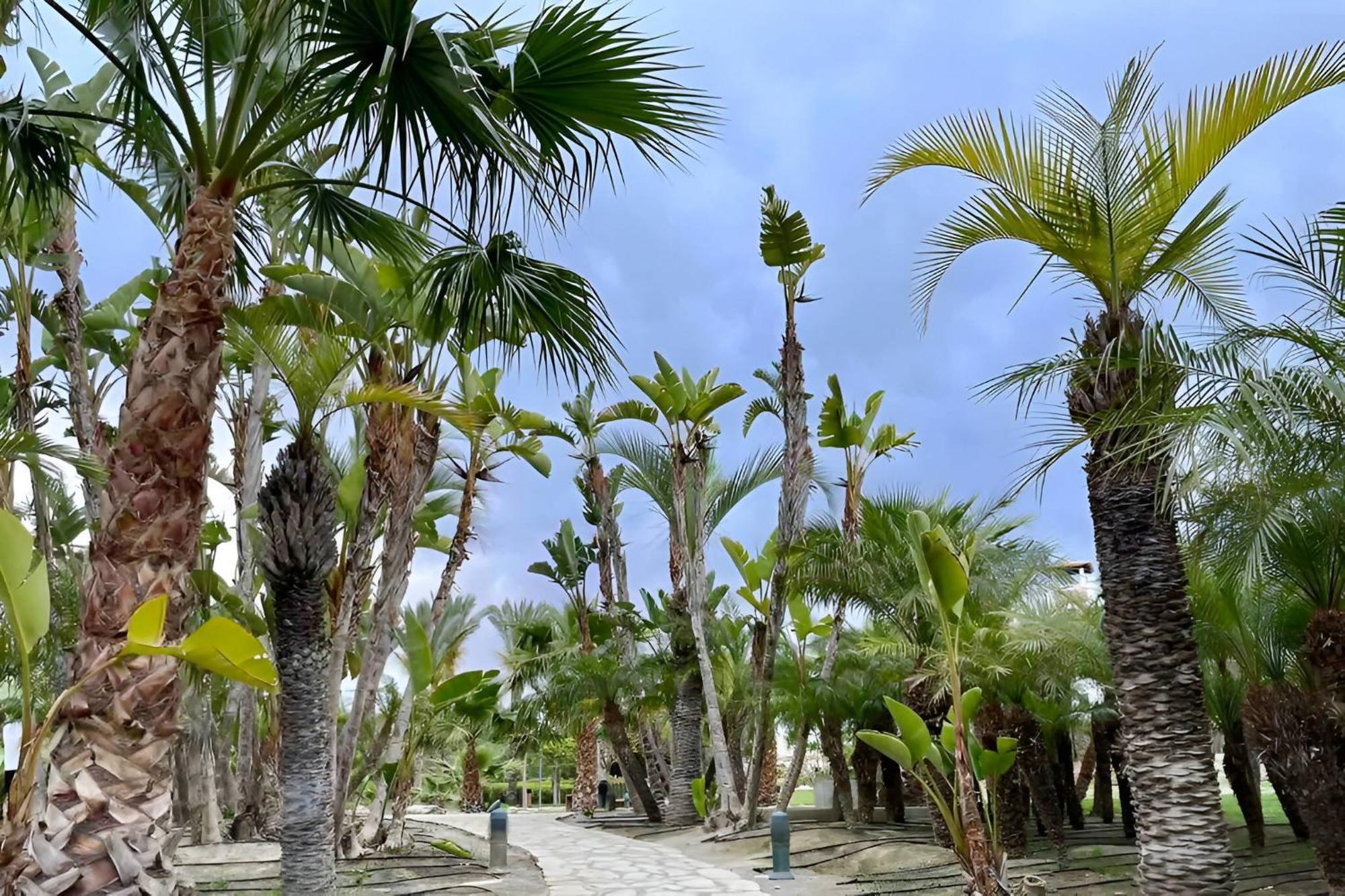 Hestia Vera Salinas Tu Hogar Para Desconectar Playas de Vera Exterior foto